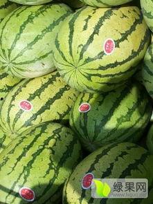 hlj07爆料吃瓜,揭秘娱乐圈最新吃瓜大事件